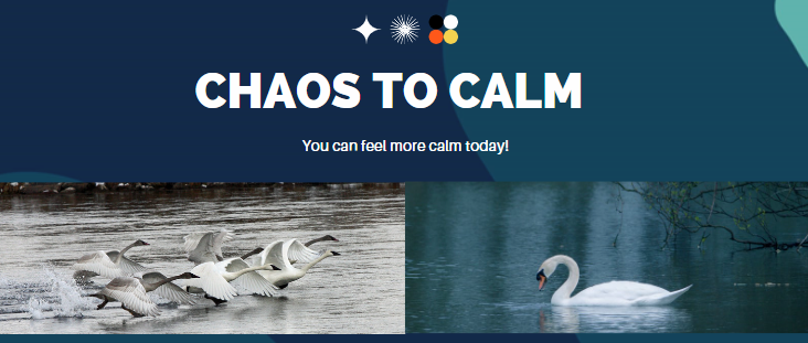 Go From Chaos to Calm